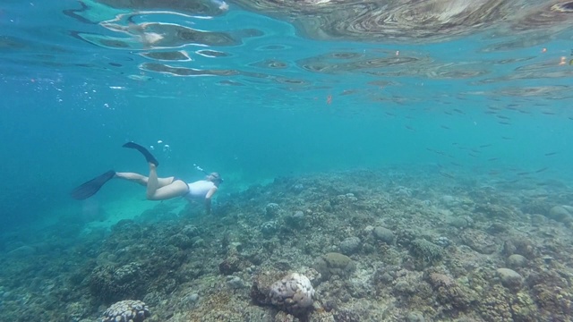 在海洋里潜水的女人视频素材