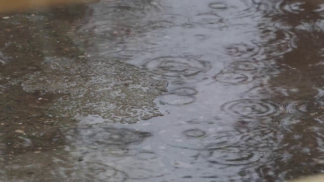 水滴落在地上的景观视频素材