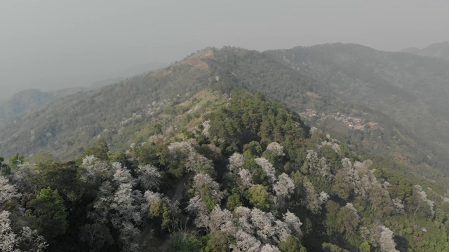 鸟瞰图的热带森林山由无人机的观点。泰国北部清莱的热带雨林夏日美景视频素材