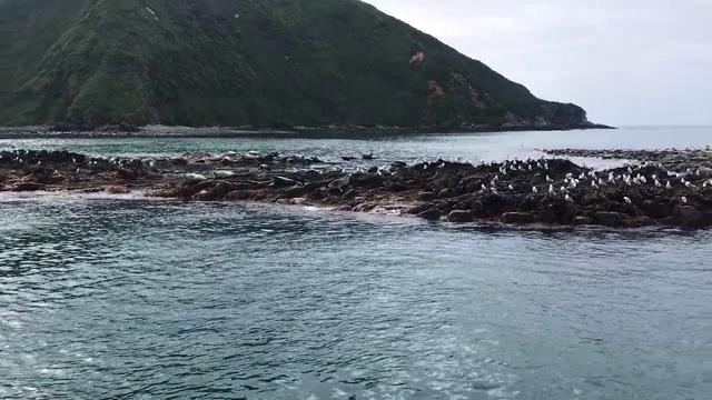 海洋景观视频素材