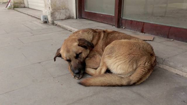 睡眠视频素材