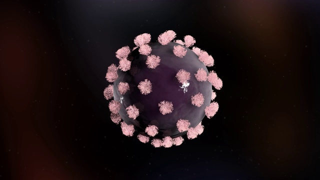 大流行。KOVID-19冠状病毒。一个带有粉色笔刷的紫色病毒细胞在真实的黑色背景下旋转。飞行的粒子。4 k。三维动画视频素材