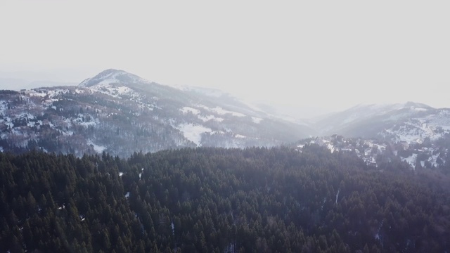 雪山和北方针叶林的全景视频素材