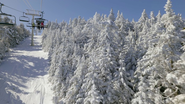 从缆车上俯瞰山坡上覆盖着积雪的树木视频素材