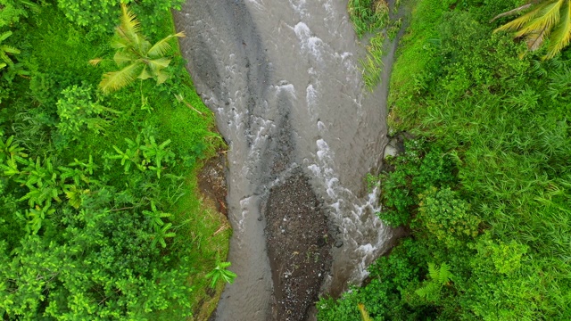 巴厘岛的热带雨林环绕着一条河。空中4 k镜头。视频素材