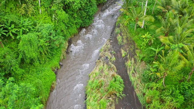 巴厘岛的热带雨林环绕着一条河。空中4 k镜头。视频素材