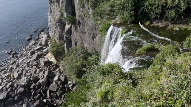 Jeongbang Falls / Seogwipo-si，济州岛，韩国视频素材