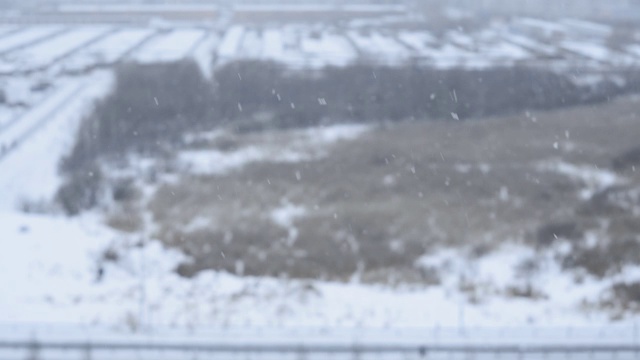 窗外是冬天，雪花在模糊的背景上。冬天寒冷的天气视频素材