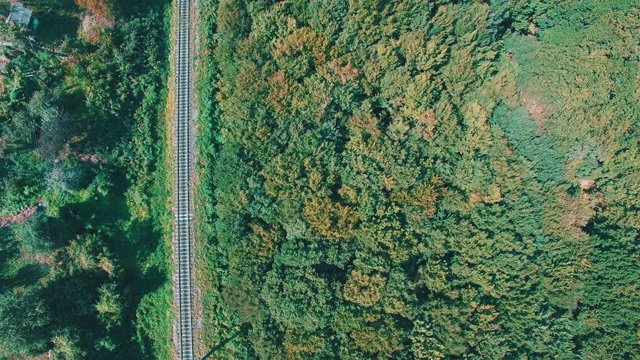 森林乡村铁路的鸟瞰图视频素材