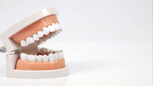 Stop motion Plastic teeth models on white background, concept Dental care and medical停止运动白色背景上的塑料牙齿模型，概念牙科护理和医疗视频下载