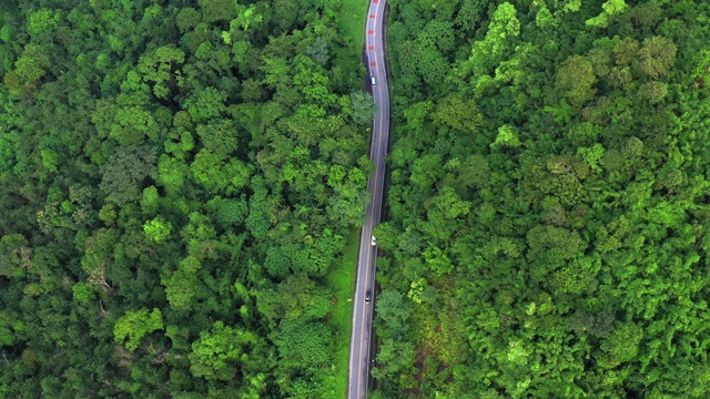 鸟瞰图当地道路在森林，旅游和运输的概念视频素材