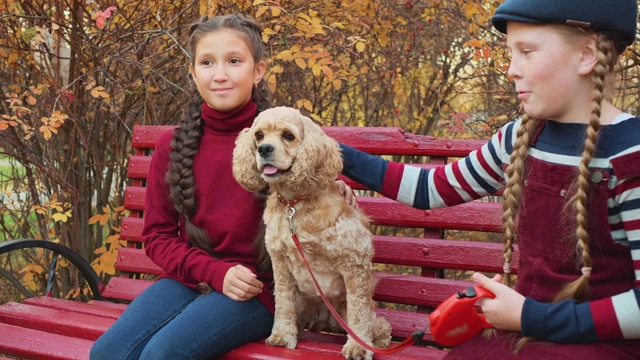 少女朋友与可卡犬坐在长椅上的秋天公园。秋天散步时，两个快乐的女孩抚摸着公园长椅上的狗。视频素材