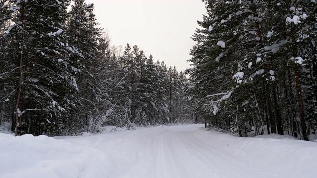 冬天的风景。森林里覆盖着积雪的道路。西伯利亚。俄罗斯4 k。视频素材