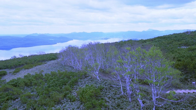 从山顶俯瞰宽阔的河流、蓝色的天际线和紫色的森林视频下载