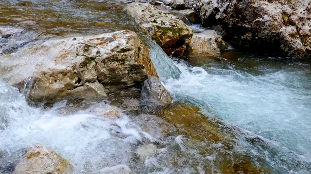 春天在奥地利阿尔卑斯山的小溪视频素材