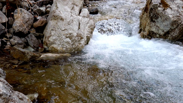 春天在奥地利阿尔卑斯山的小溪视频素材