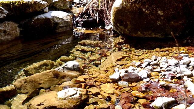 春天在奥地利阿尔卑斯山的小溪视频素材