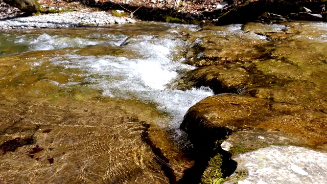 春天在奥地利阿尔卑斯山的小溪视频素材