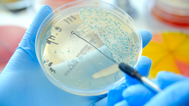 实验室的科学家手里拿着一个分配器进行经验或分析视频素材