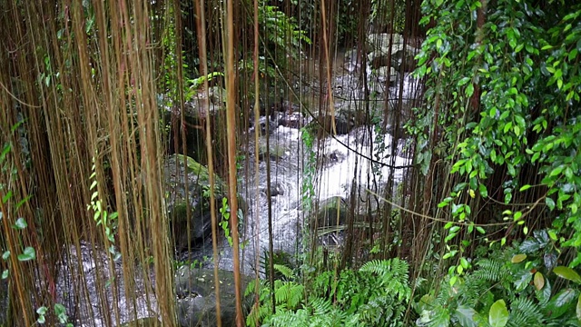 澳大利亚昆士兰阳光海岸的一个大瀑布视频素材