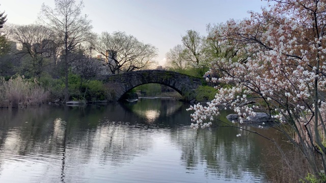 曼哈顿中央公园的湖景视频素材