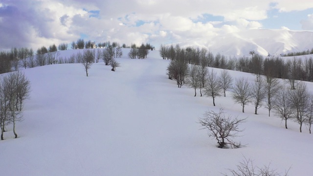 树木上的雪峰景象无人机视图视频素材