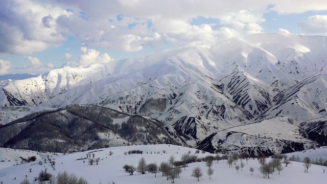 树木上的雪峰景象无人机视图视频素材