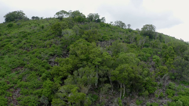 火山口湖视频下载