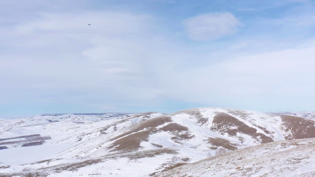 两只猎鹰在一股风中翱翔在冬天的雪山之上视频素材