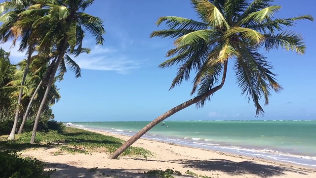 巴西阿拉戈斯圣米格尔多斯米拉格雷斯的海滩风景视频素材