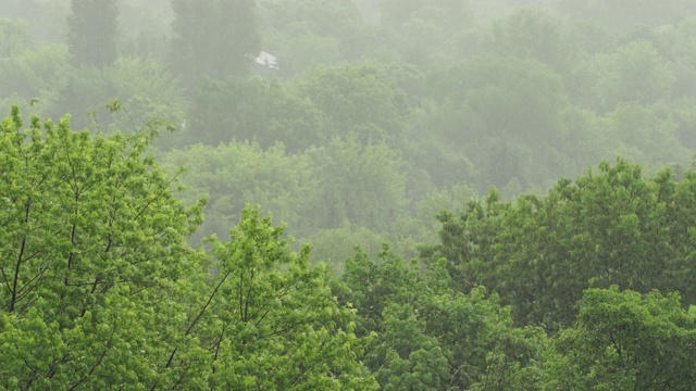 大雨滂沱，狂风呼啸视频素材