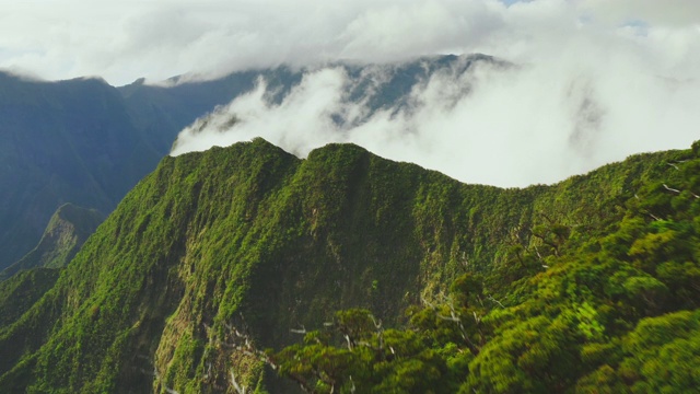 郁郁葱葱的热带山峰视频素材