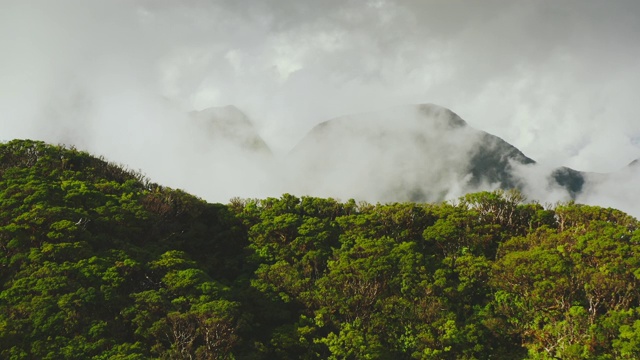 郁郁葱葱的热带山峰视频素材