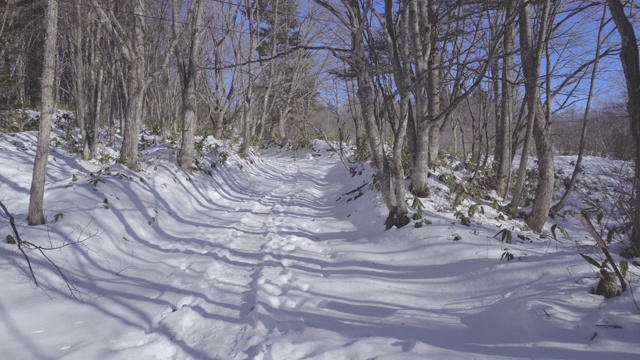 日本下雪的人行道视频素材