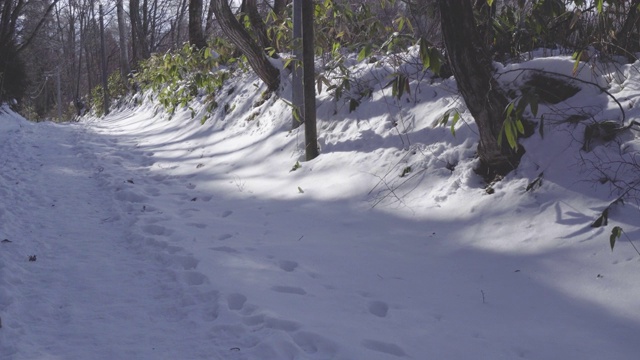 在亚洲雪地行走视频素材