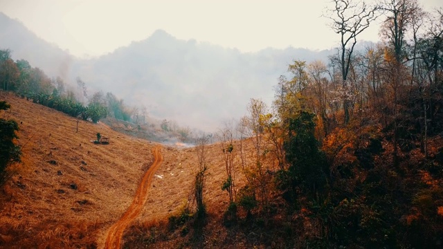 全球变暖的危机。刀耕火种的农业。气候变化、森林砍伐。镜头4 k视频素材