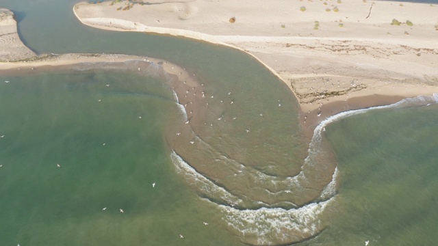 流入大海的河流视频下载