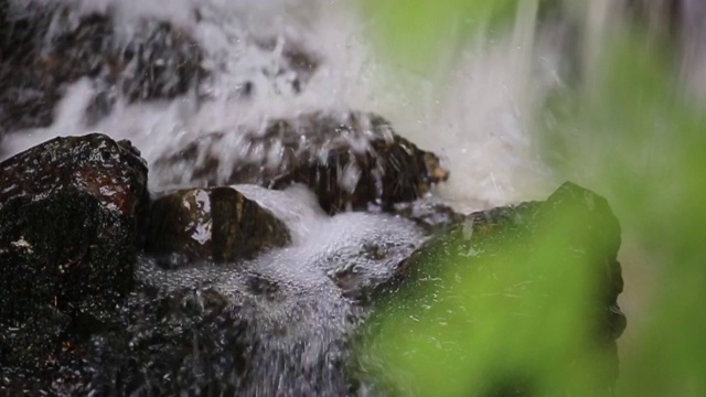 阿拉斯加，流动的溪流和树叶视频素材