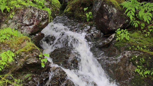 小溪流水,阿拉斯加视频素材