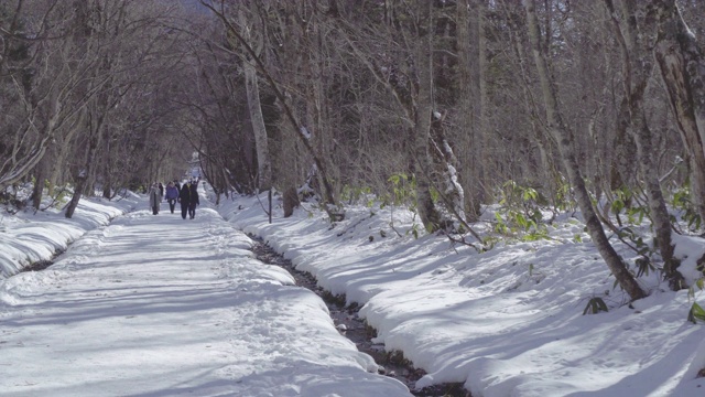 雪走路到户国神社视频素材