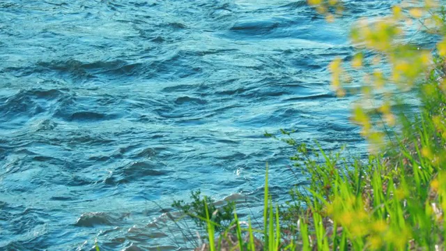 这条河有充足的水流视频素材