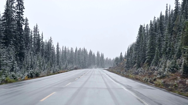 汽车在暴风雪中驾驶，能见度很低的国家公园视频素材