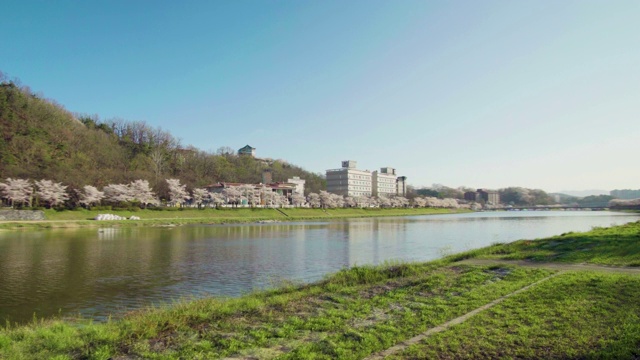 韩国，全乐浦道，岳川溪/南原溪上的樱花视频素材