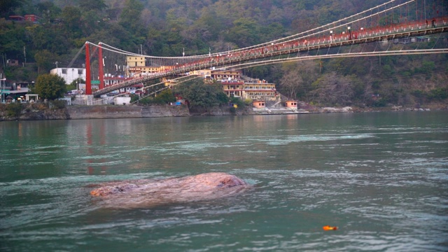 在rishikesh am ghula的观点视频素材