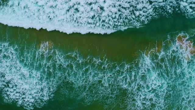 在悉尼海滩上冲浪的人视频素材