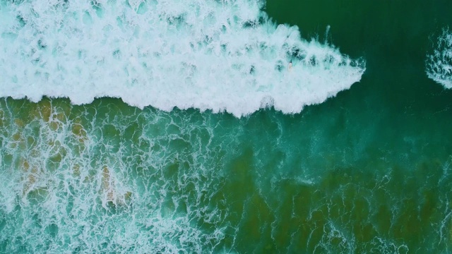 在悉尼海滩上冲浪的人视频素材