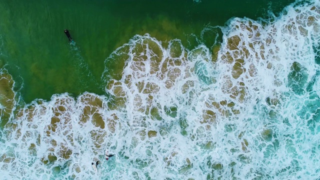 在悉尼海滩上冲浪的人视频素材