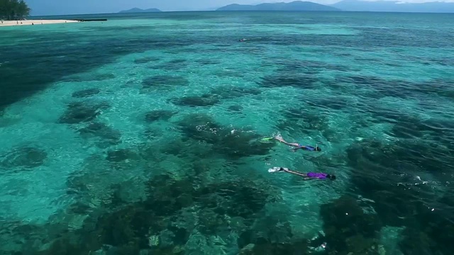 夏日里，一群人一边潜水一边探索大海视频素材