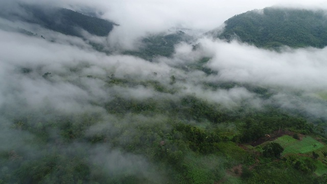 在云雾弥漫的丛林上空飞翔视频下载