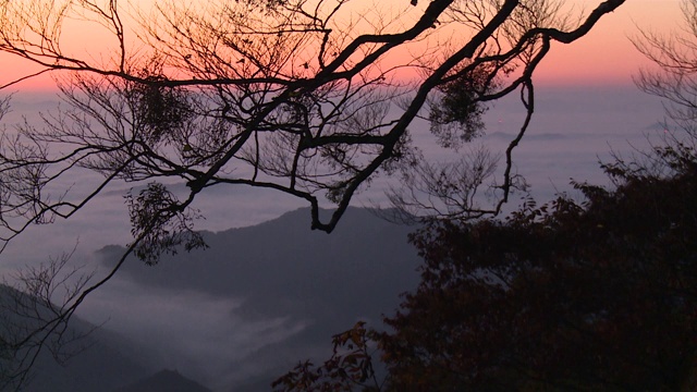 京都大江山下的云海视频素材